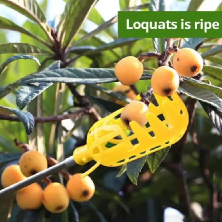 1pc Farm Garden Fruit Picker Head Deep Basket Apple Peach Harvest Tool - NEW 6