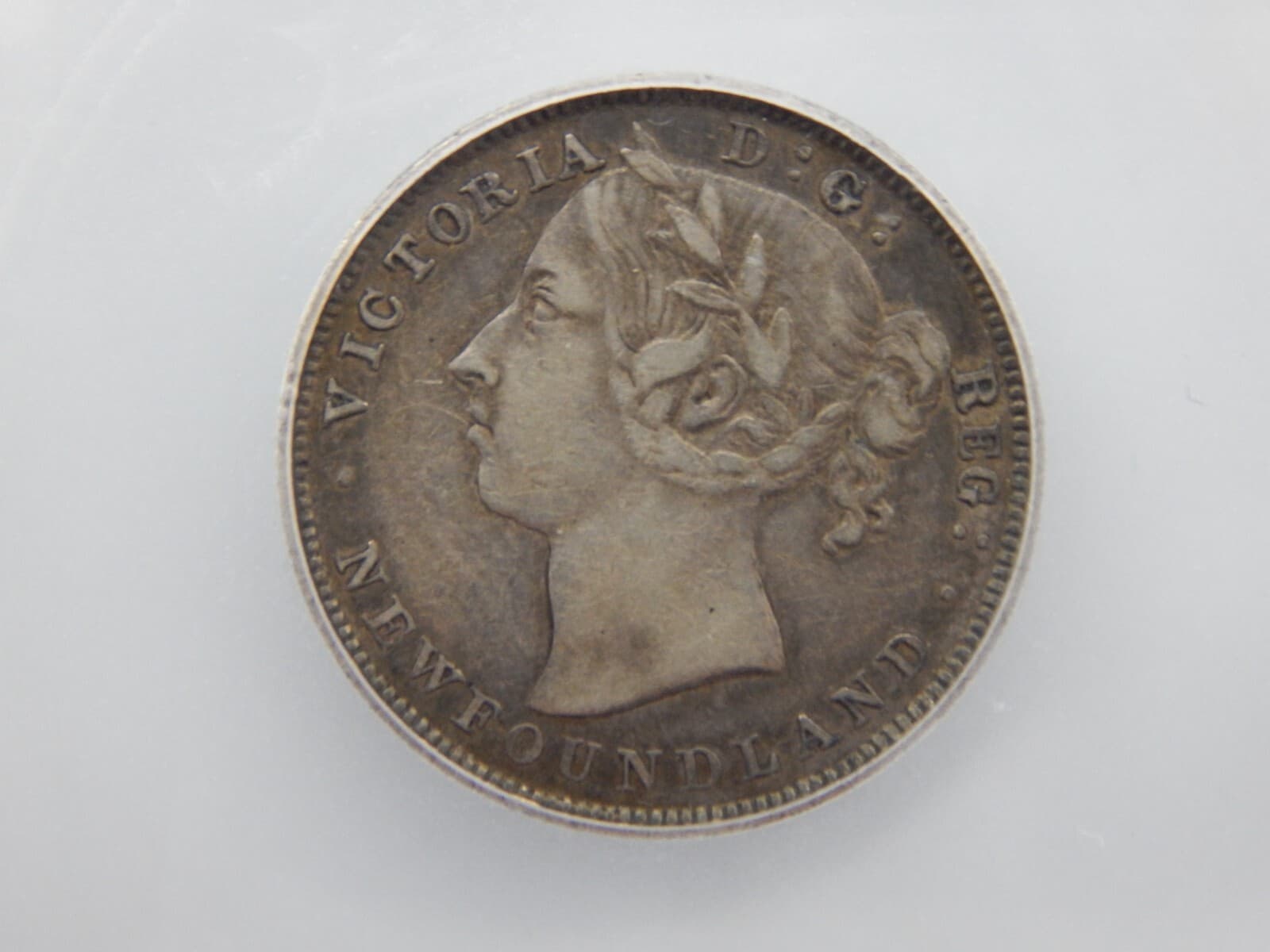 1899 NEWFOUNDLAND 20c TWENTY CENTS  ICG EF40 (BT601) 3