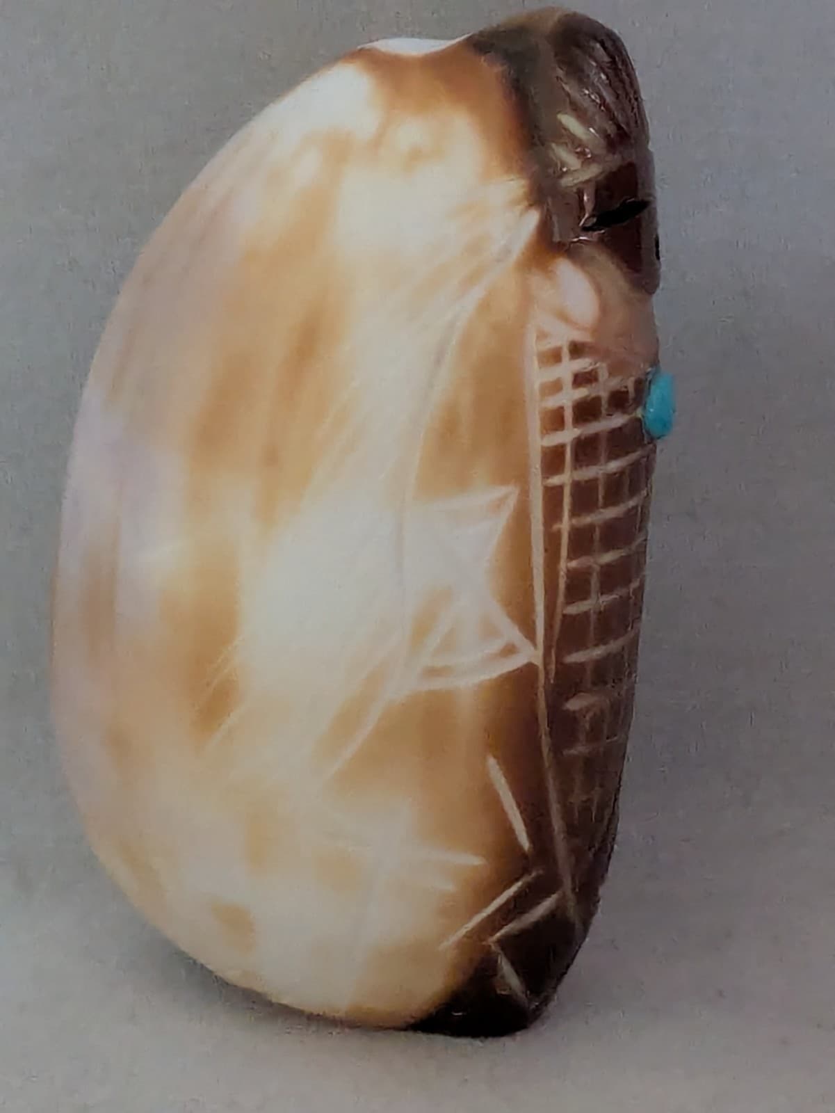 Daniel Chattin-Cowrie Shell Corn Maiden-Zuni Fetish-Native American-ShellCarving 6