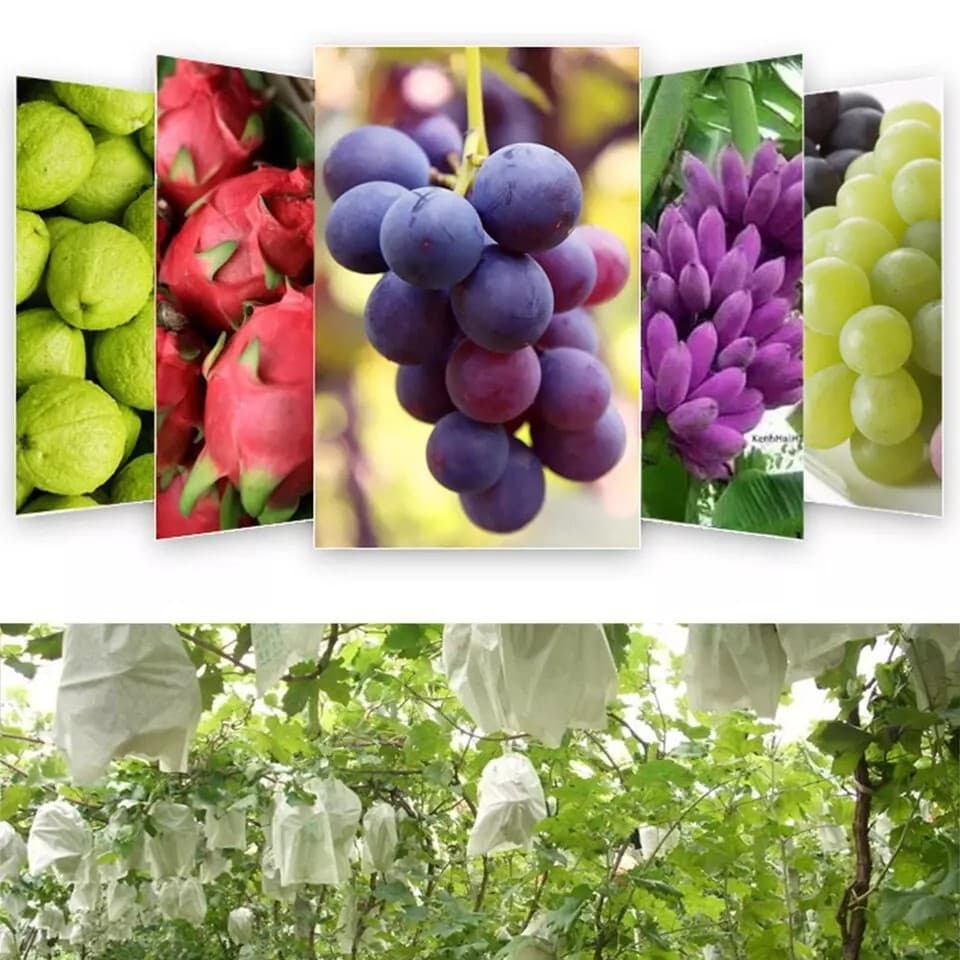 100PCS Garden Plant Fruit Vege Protect Drawstring Bags Against Insect Pest Bird 6