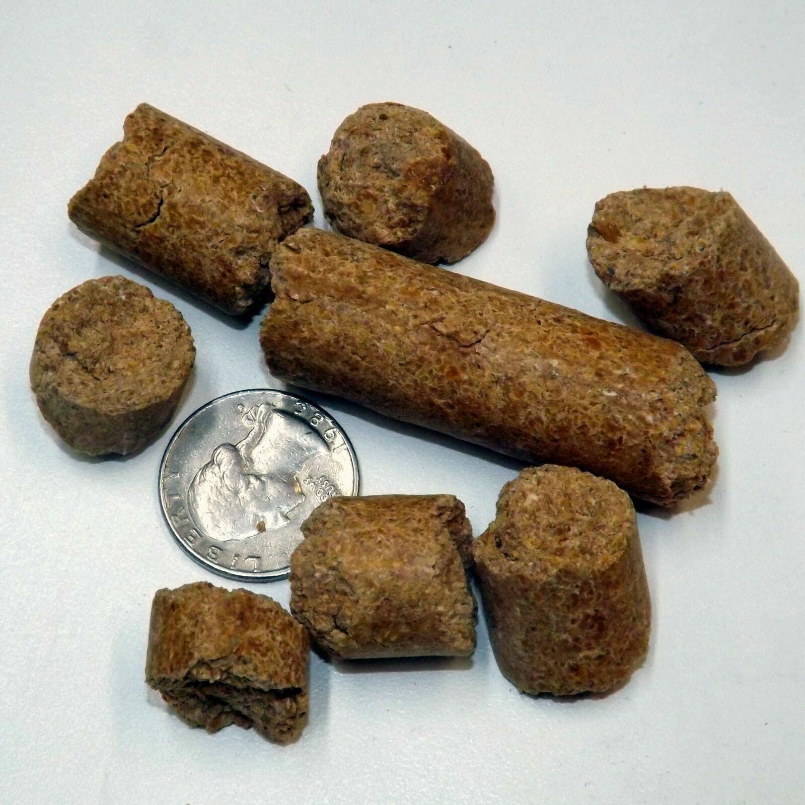 Rodent Diet Breeding Food Protein Bulk Lab Block Hamster Rat Mouse Choose Size!! 2