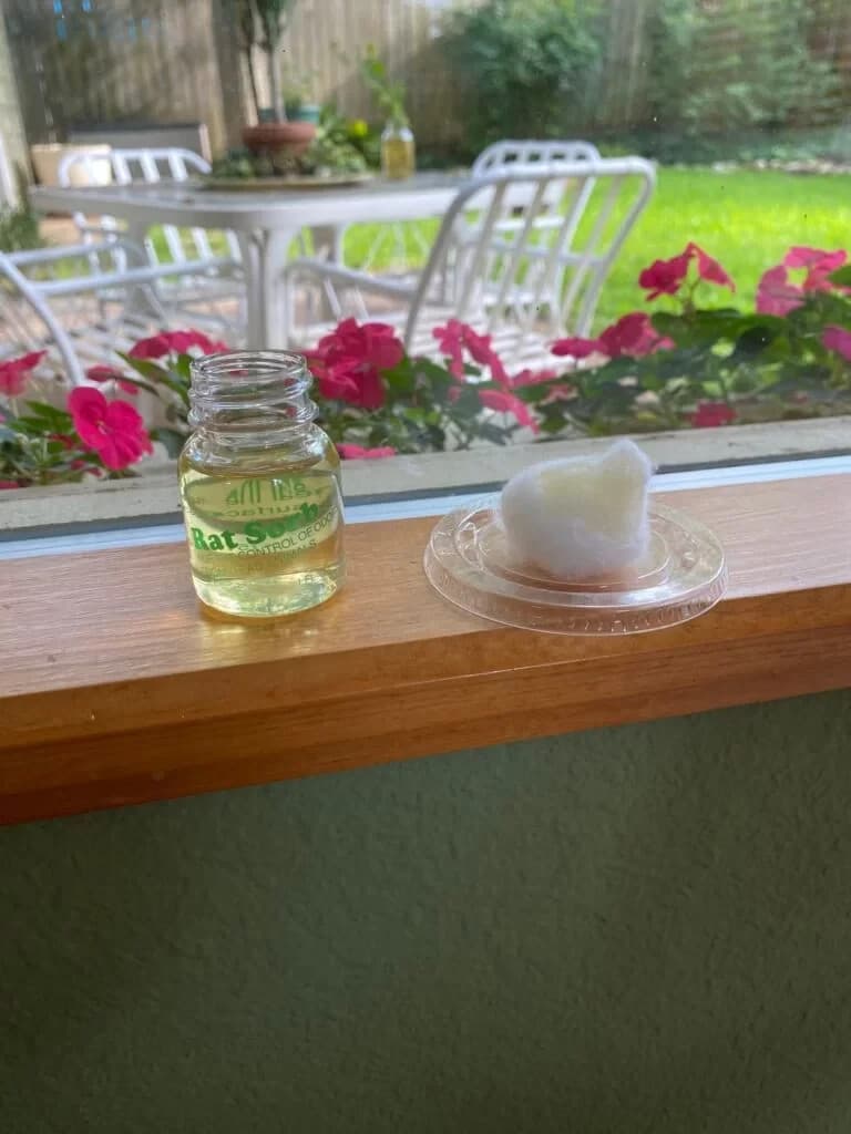 1 oz Rat Sorb Odor Eliminator for Dead Rodent and Urine Pee Smell etc   5