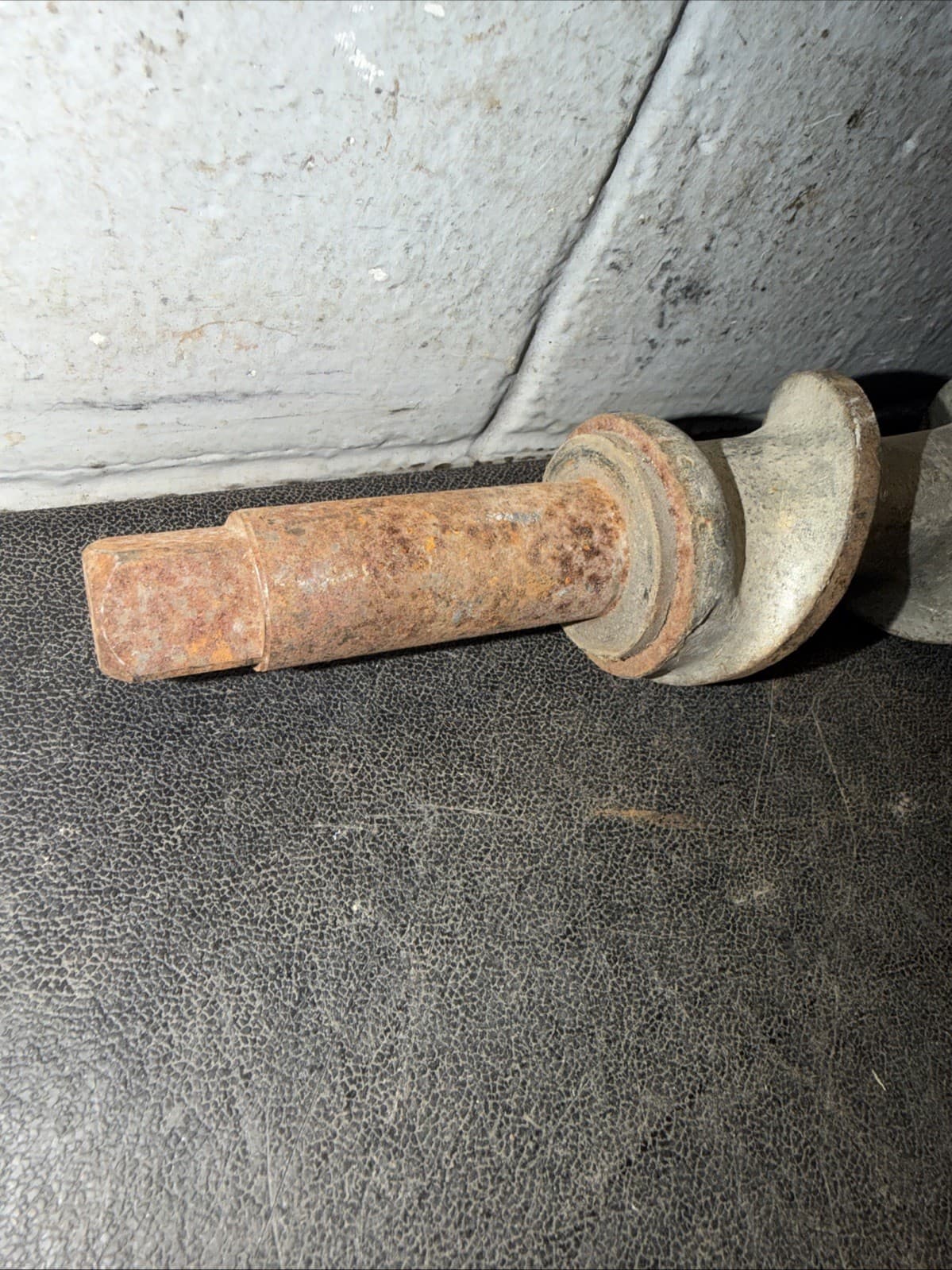 #22 Meat Grinder Attachment (AUGER ONLY) (CHIPPED, SEE PHOTOS) 2