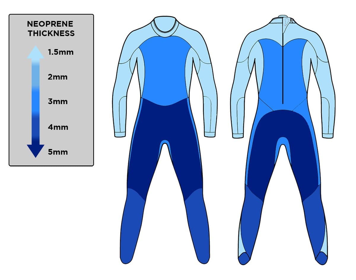 blueseventy wetsuit women Fusion 2021 size WL - Open water swimming or triathlon 5