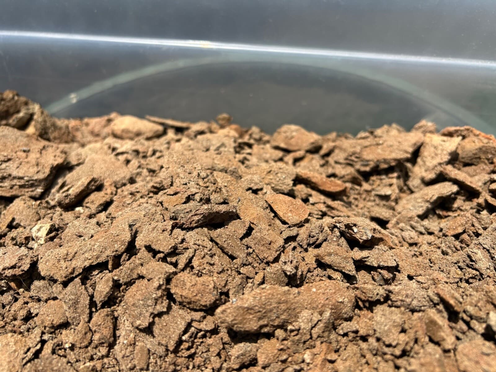 1 LBS Texas Micro Fossil Matrix Ozan Formation Find your Own Fossils Shark Fish 5