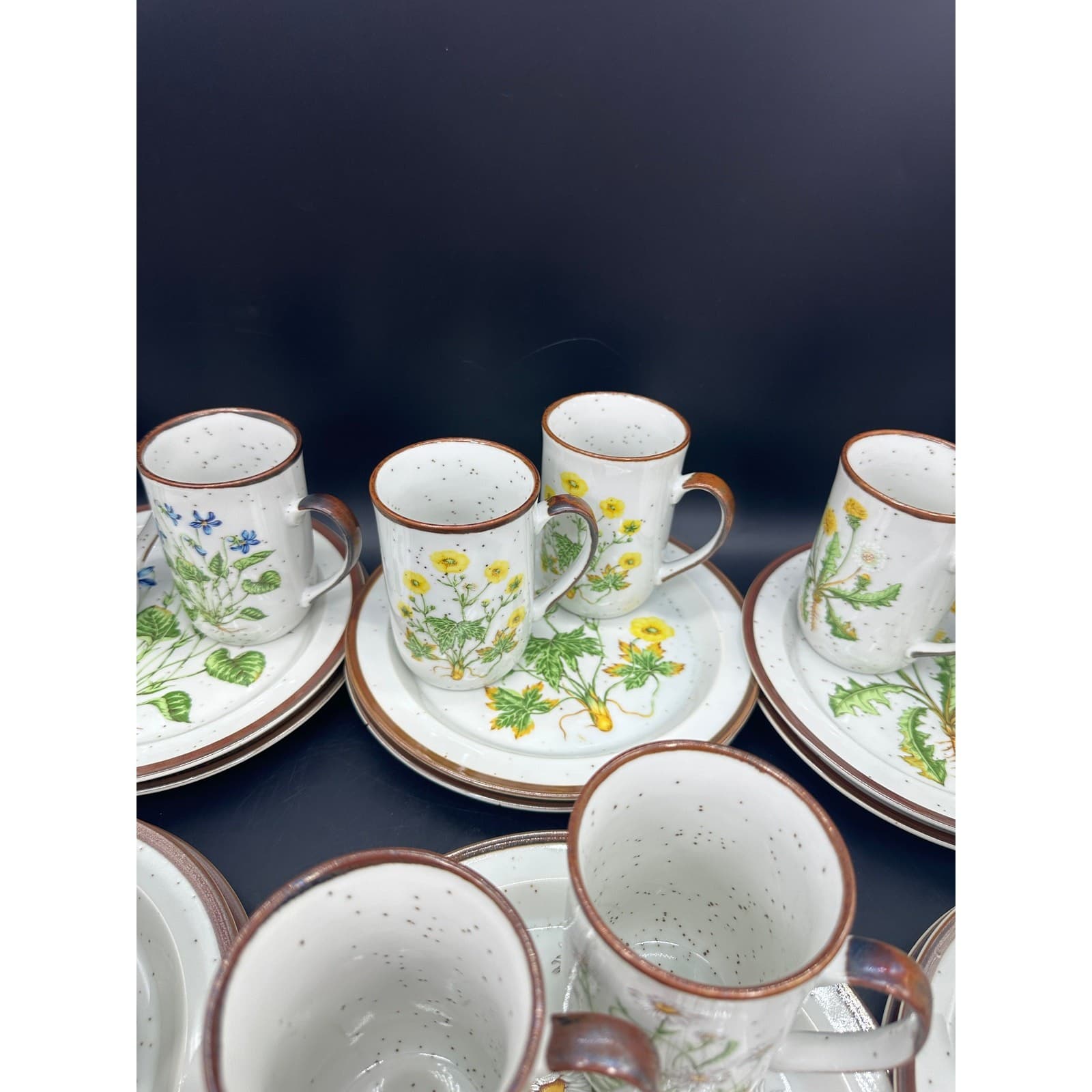 Otagiri Spring TEA PARTY Set 8 Cups 8 Dessert Plates and Teapot EUC Vintage MCM 5