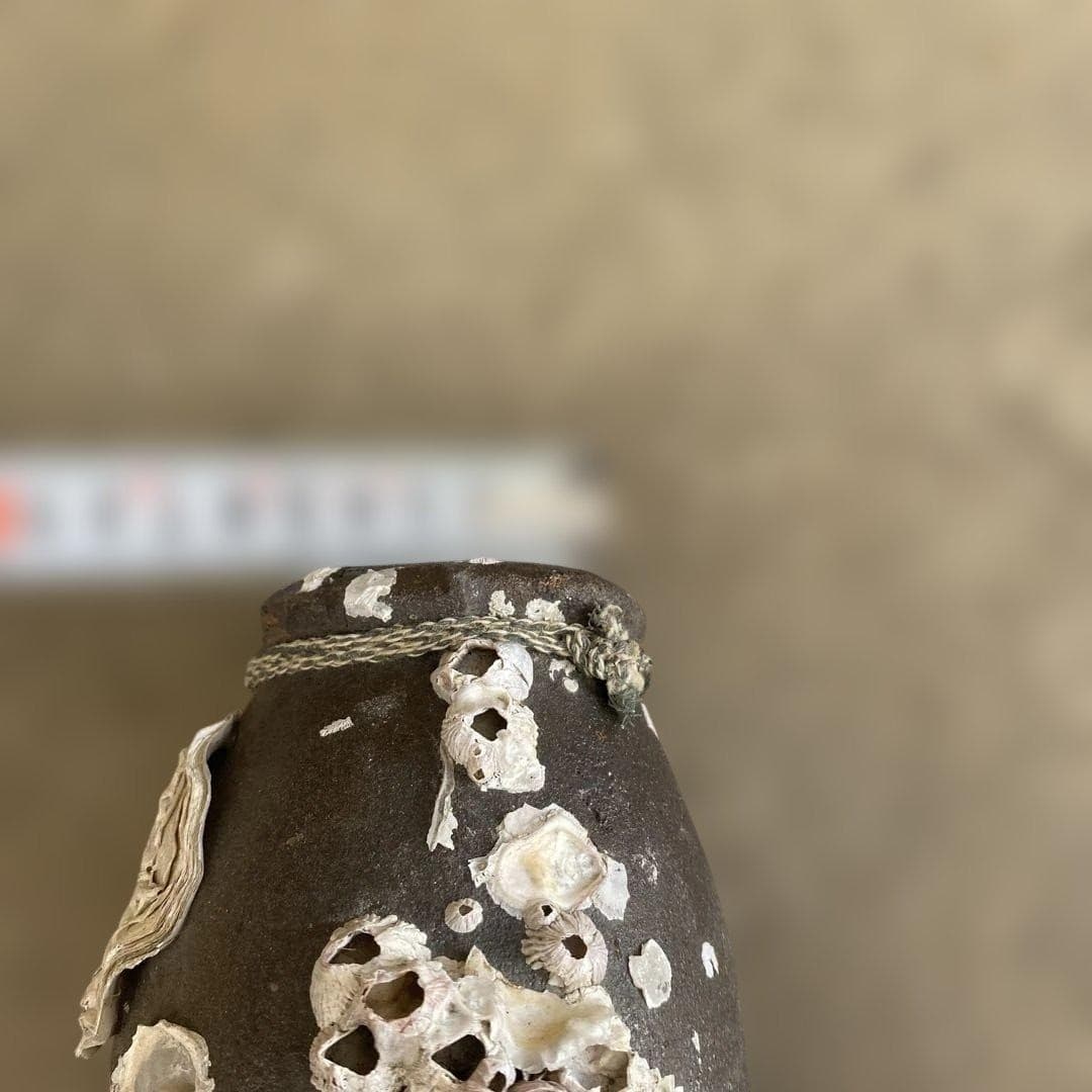 Japanese Ceramic Octopus Pot “Takotsubo” w/ Seashell VTG Japan 5