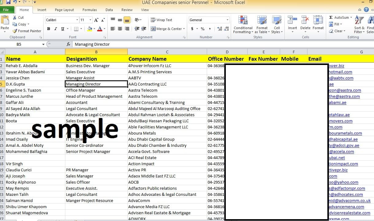 Dubai Business Email database, UAE B2B email lists, B2C emails, Companies lists 4