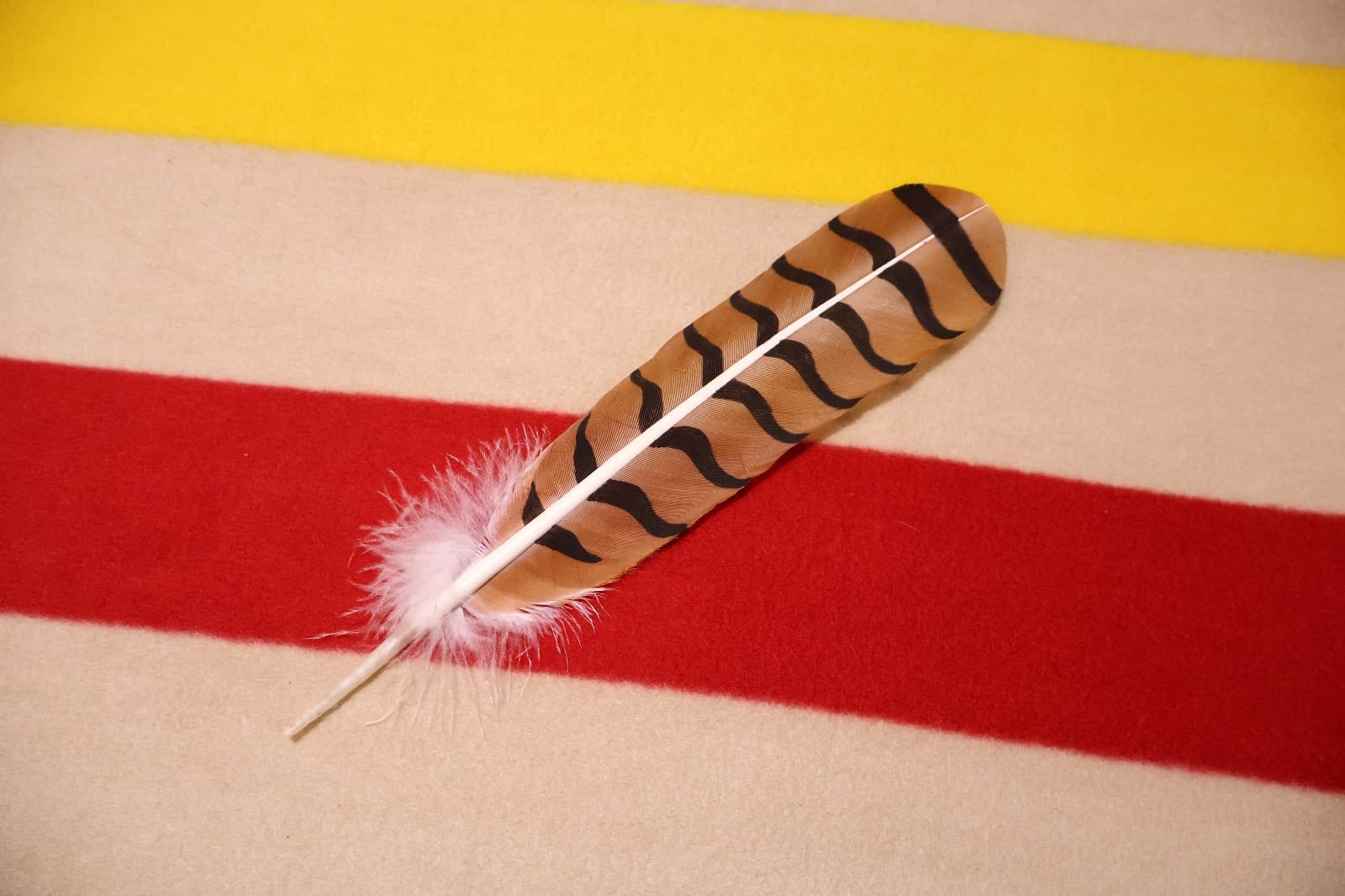 Native American hand painted Red-Tailed Hawk Feather 3