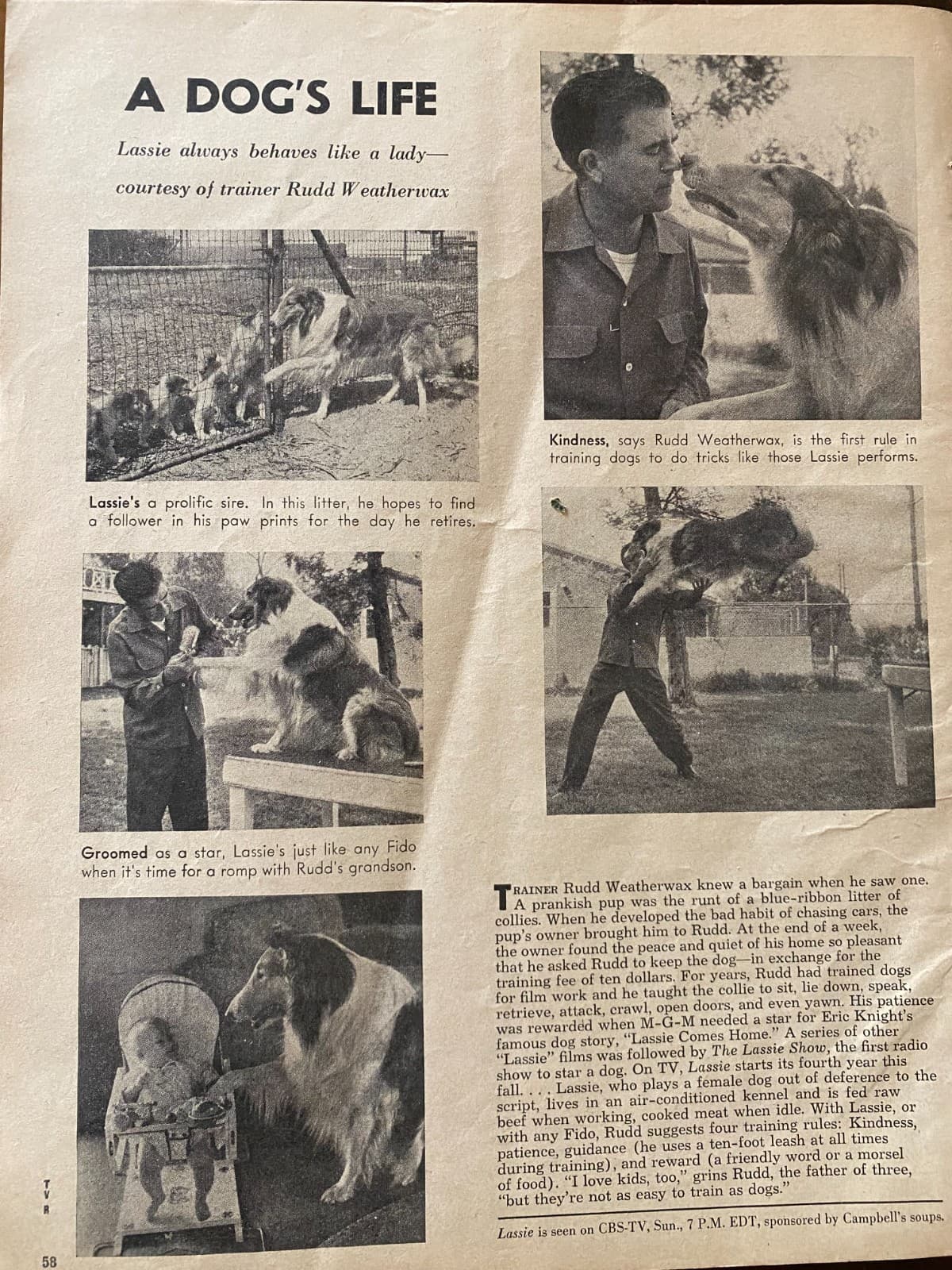 Lassie, Full Page Vintage Clipping aa