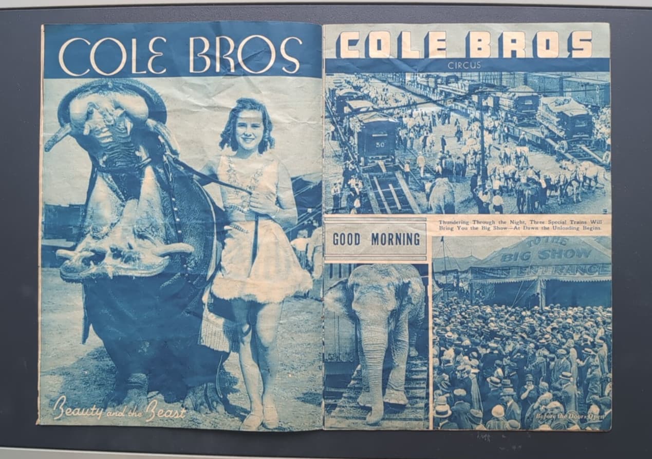 RARE 1936 Cole Bros. Circus w/ Clyde Beatty Souvenir Program Fair Condition  6