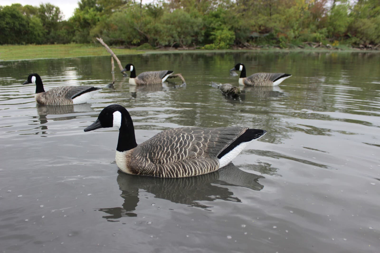 Super Blocks Flocked Canada Goose Floaters - 4 Pack - Low price, fast shipping 3