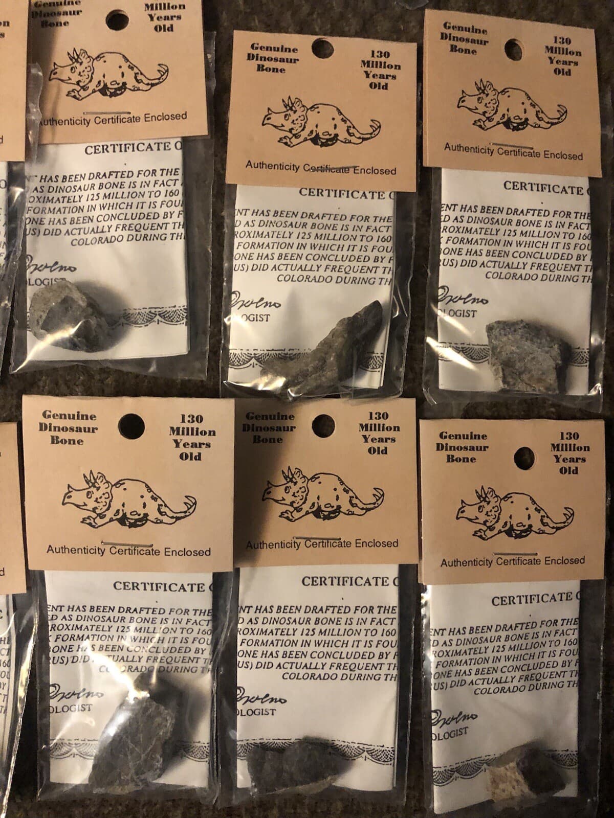 GENUINE DINOSAUR BONE SPECIMEN AUTHENTICITY CERTIFIED Collectors Fossil 6