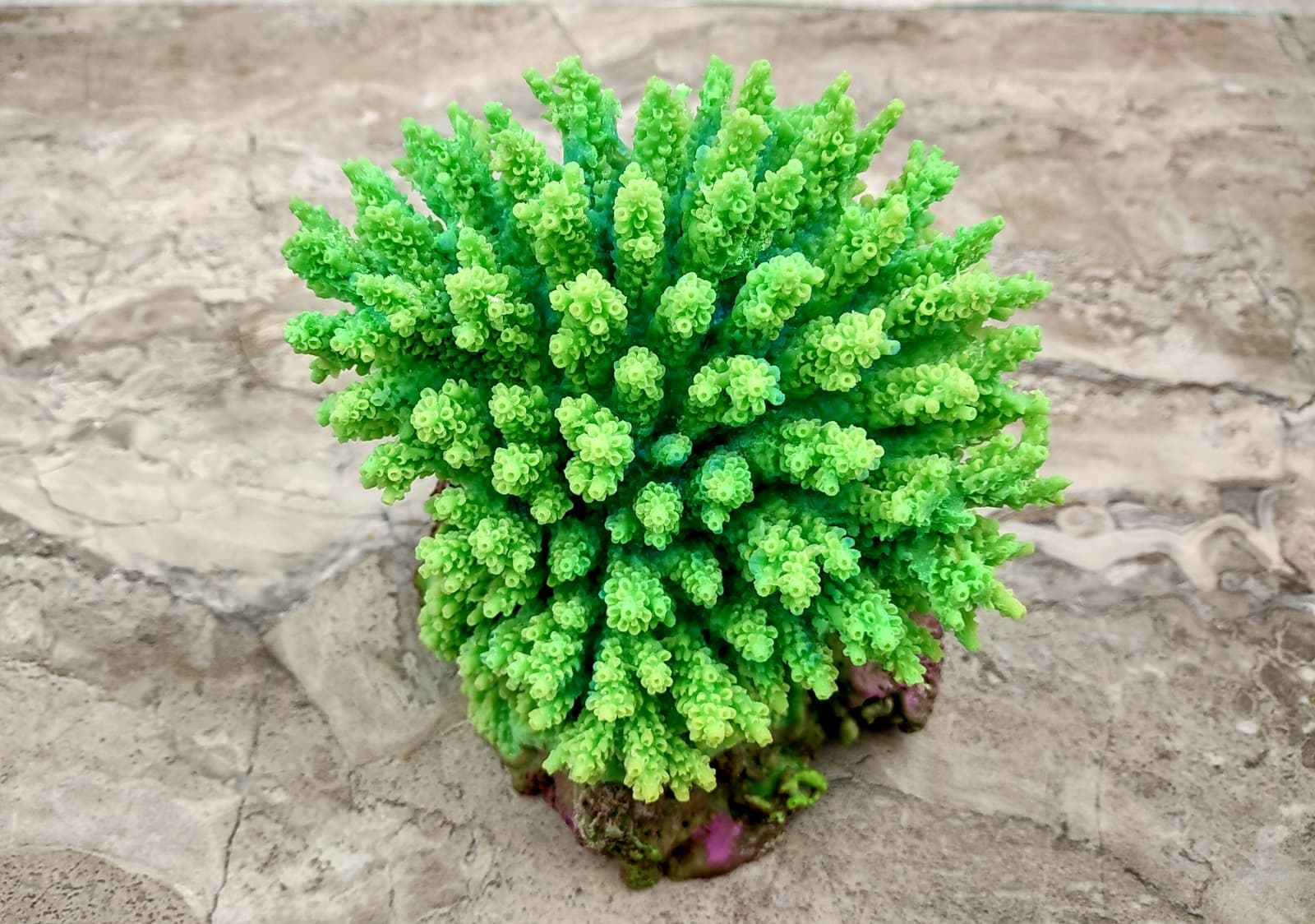 Green FAUX Table Coral (1 FAKE Coral, approx. 5Wx6Dx4T) 4