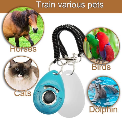 Training Clicker for Pet Like Dog Cat Horse Bird Dolphin Puppy with Wrist... 4