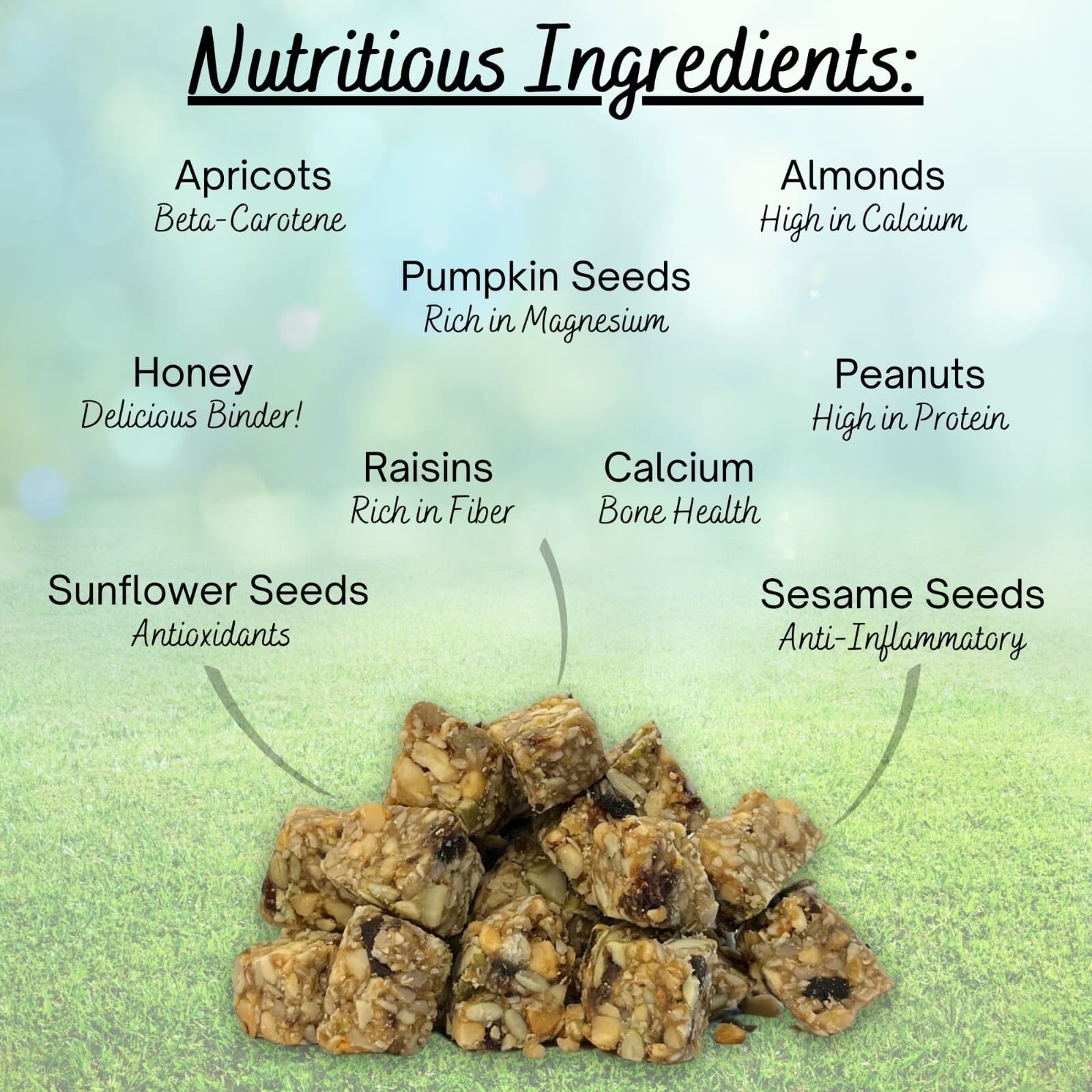 Squirrel Beneficial Blocks - All Natural Supplemental Food with Nuts & Seeds 5