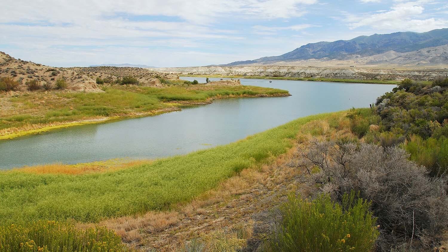 2 Gold Mining Claims – Rye Patch, Nevada – 40 Acres – Chevron Gold – Easy Access 2