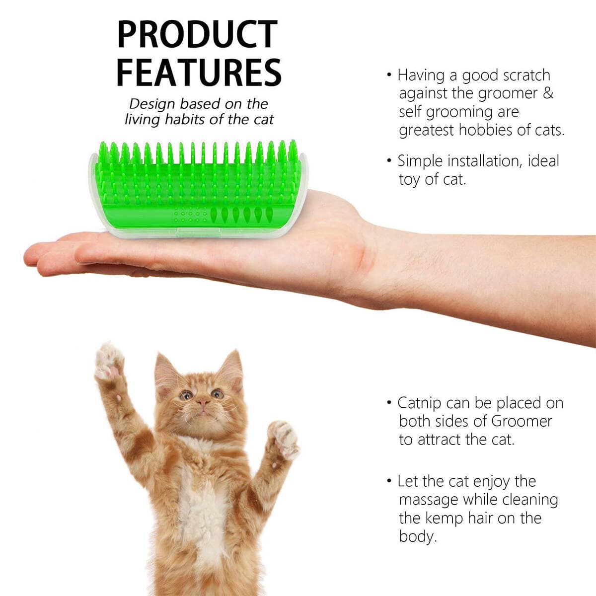 Cat Pet Self Groomer Brush Wall Corner Grooming Massage Comb Toy & Catnip 3