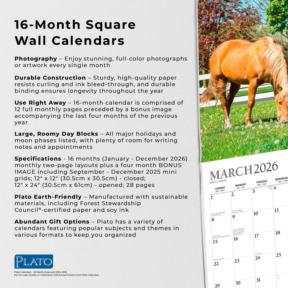 Magnificent Horses | 2026 12x24" (Hanging) Monthly Square Wall Calendar 6