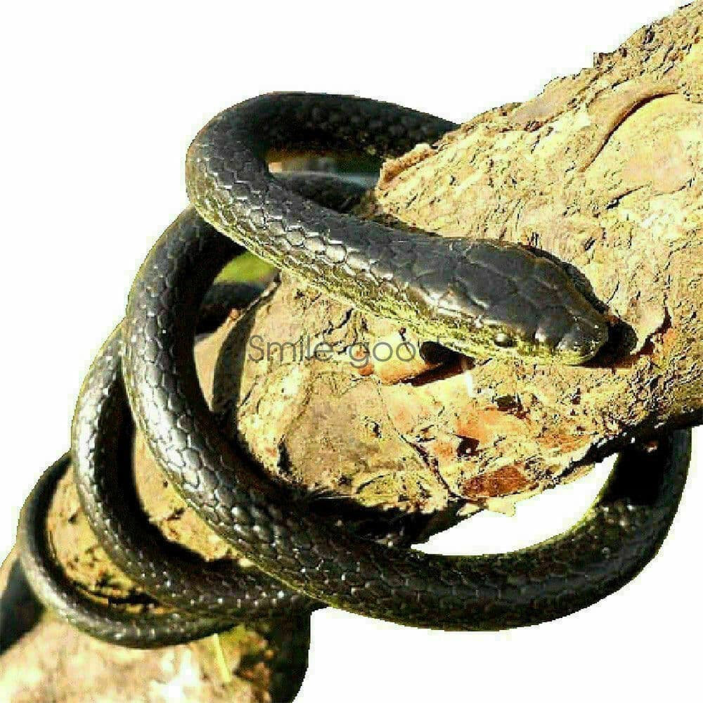 Fake Realistic Snake Lifelike Real Scary Rubber Toy Prank Party Joke For Garden 4