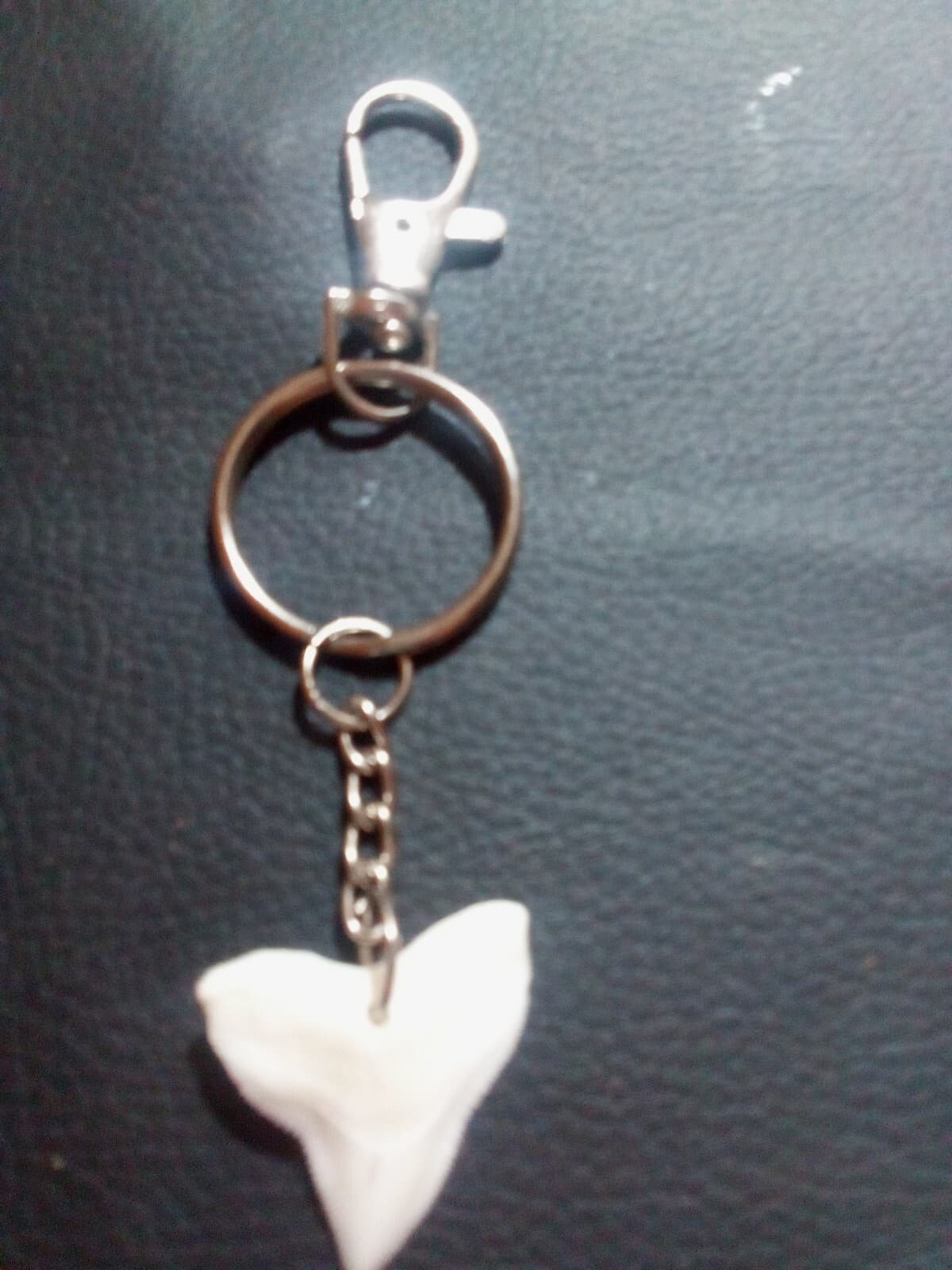 Medium Shark Tooth Keychain With Attached Lanyard Clip