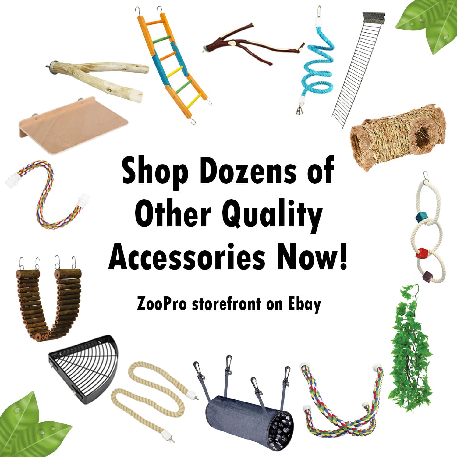 Squirrel Nest Box - For Grey Squirrels & Flying Squirrels 5