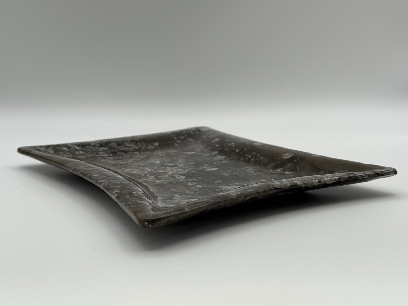 11.5”x9” Hand Carved Fossil Plate Orthoceras & Ammonite Fossil 400 Mil Yrs. 3