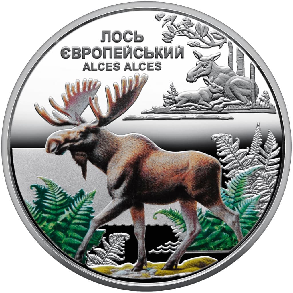 2025 Ukraine 5 Hryven European Elk Chernobyl Revival 16.5g CN Coin in Card