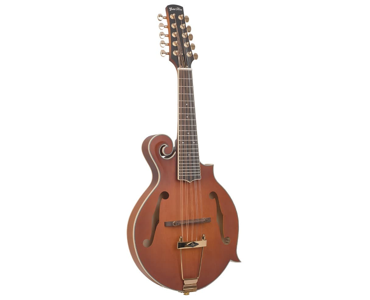 Gold Tone Mastertone F10 10-String F-Style Mandolin - Open Box 2
