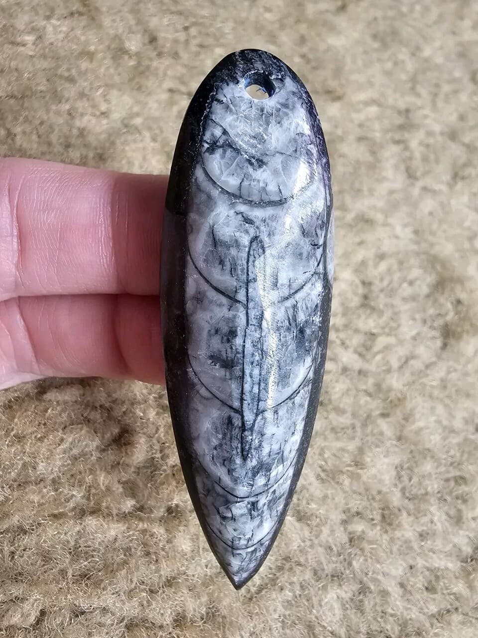 Orthoceras Focal Pendants, Polished Drilled Fossil, Nature Jewelry, Metaphysical 3