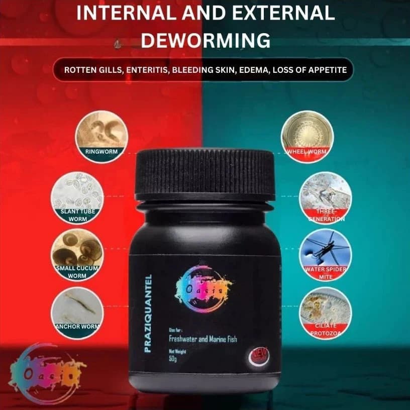 200g Fish Tank Parasite: Control Powder Deworm Management Praziquantel Fish