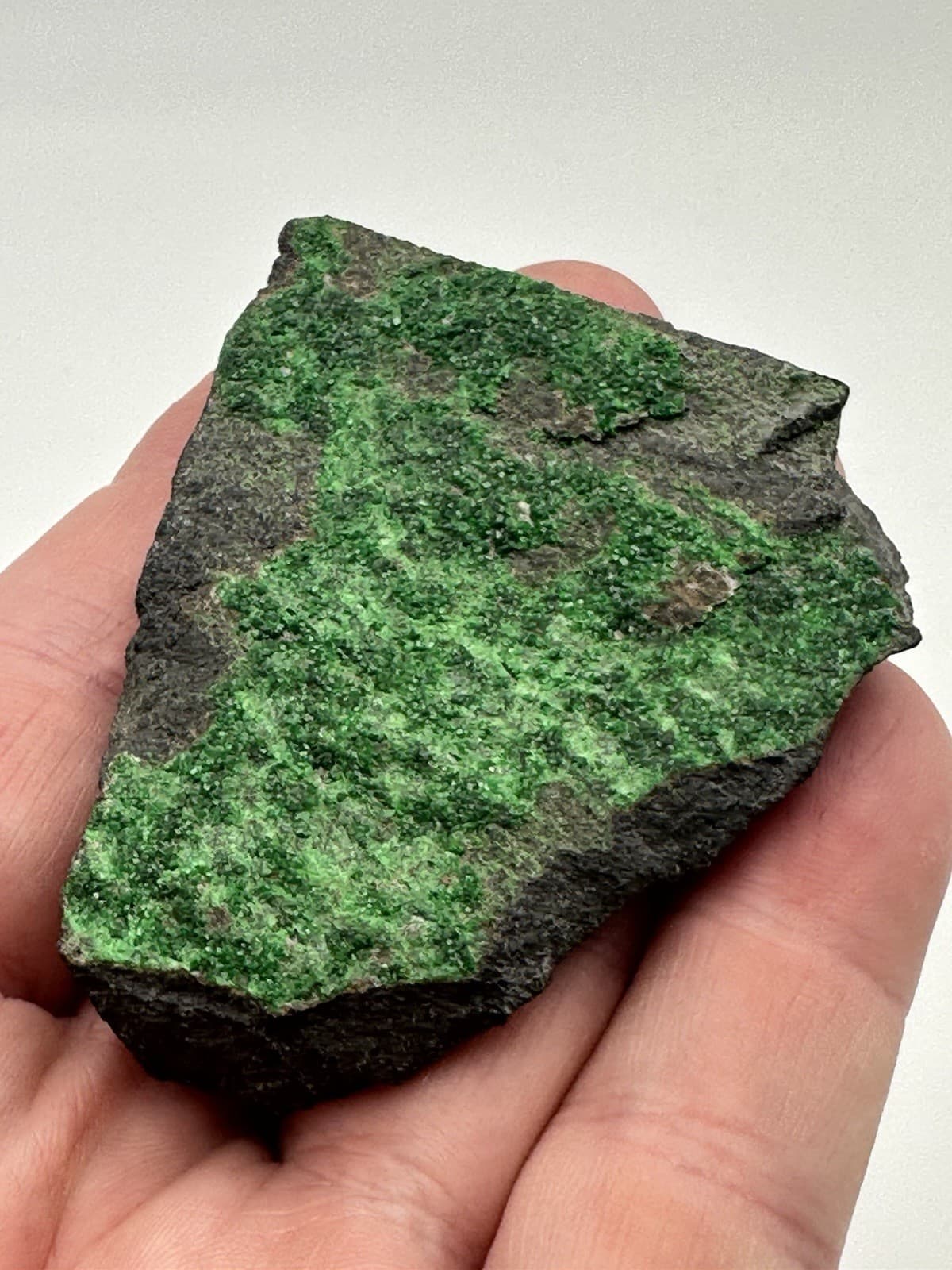 84g 2.5"x2" RARE Green Uvarovite Garnet Crystals on Matrix Mineral Specimen 5