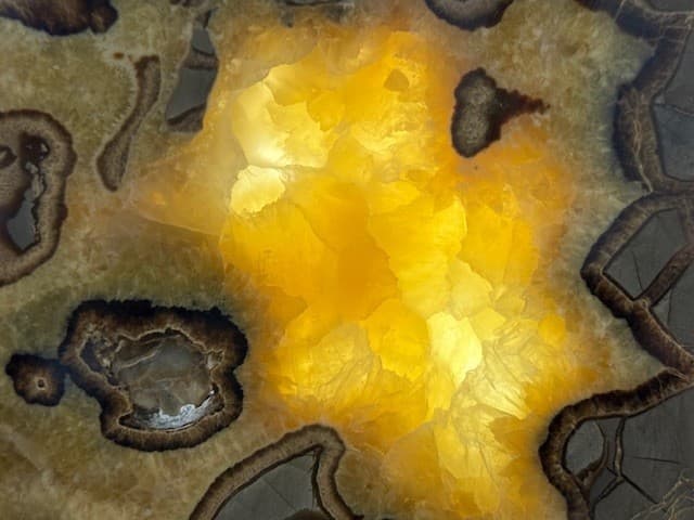 RARE  7 9/16"  SEPTARIAN SLAB W/ FOSSIL CRAB  ,A+ QUALITY: & FL/PHOSPHORESCENT! 4