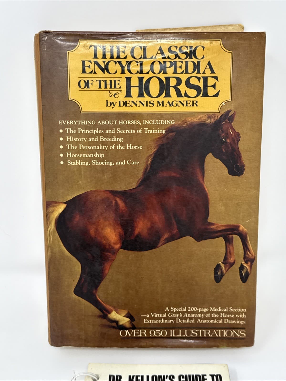 Lot of 2 -  Encyclopedia of the Horse By Dennis Magner & First Aid for Horses 3