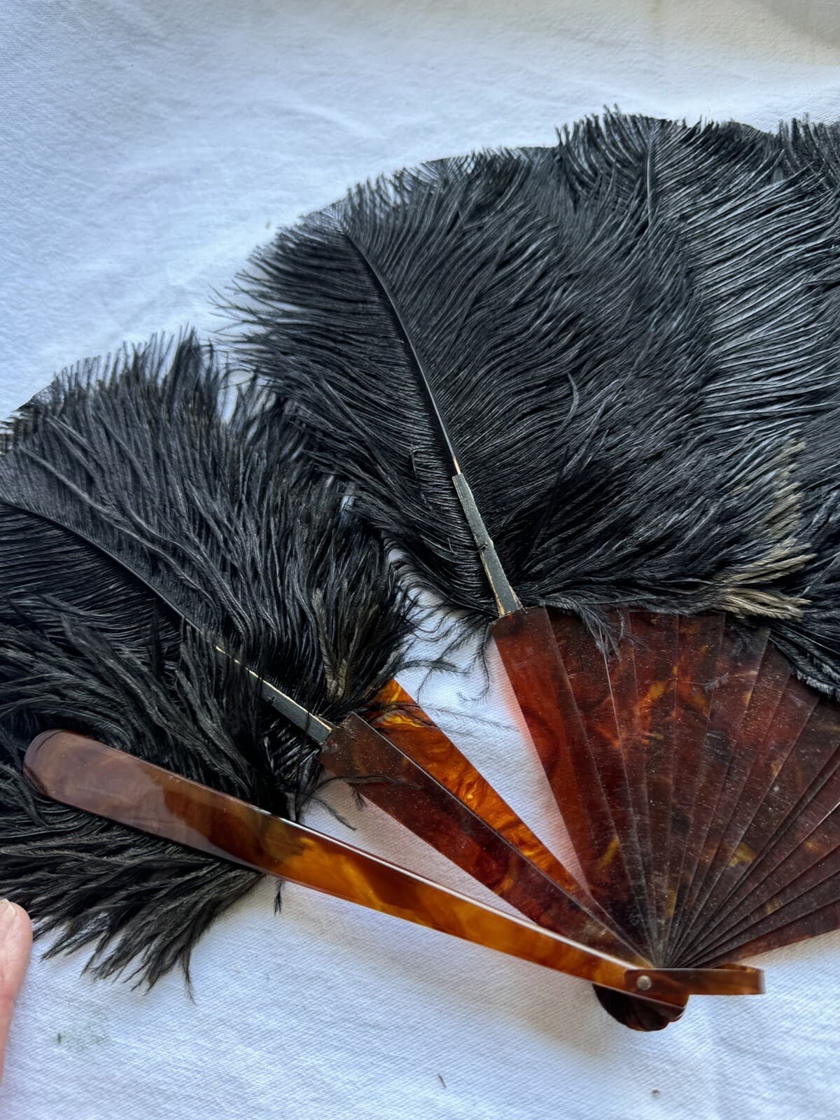 Edwardian Antique Ostrich Feather Mourning Hand Fan with Faux Tortoiseshell 3