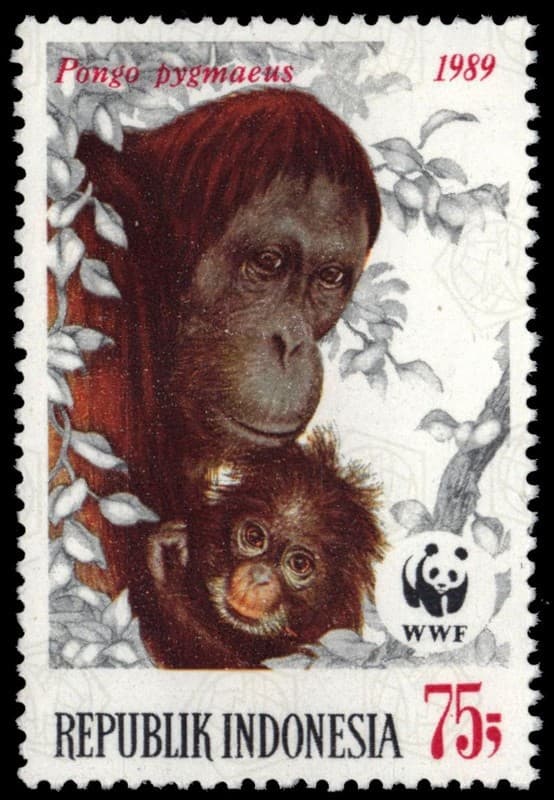 INDONESIA 1380 - Orangutan "Pongo pygmaeus" WWF (pb17643+)