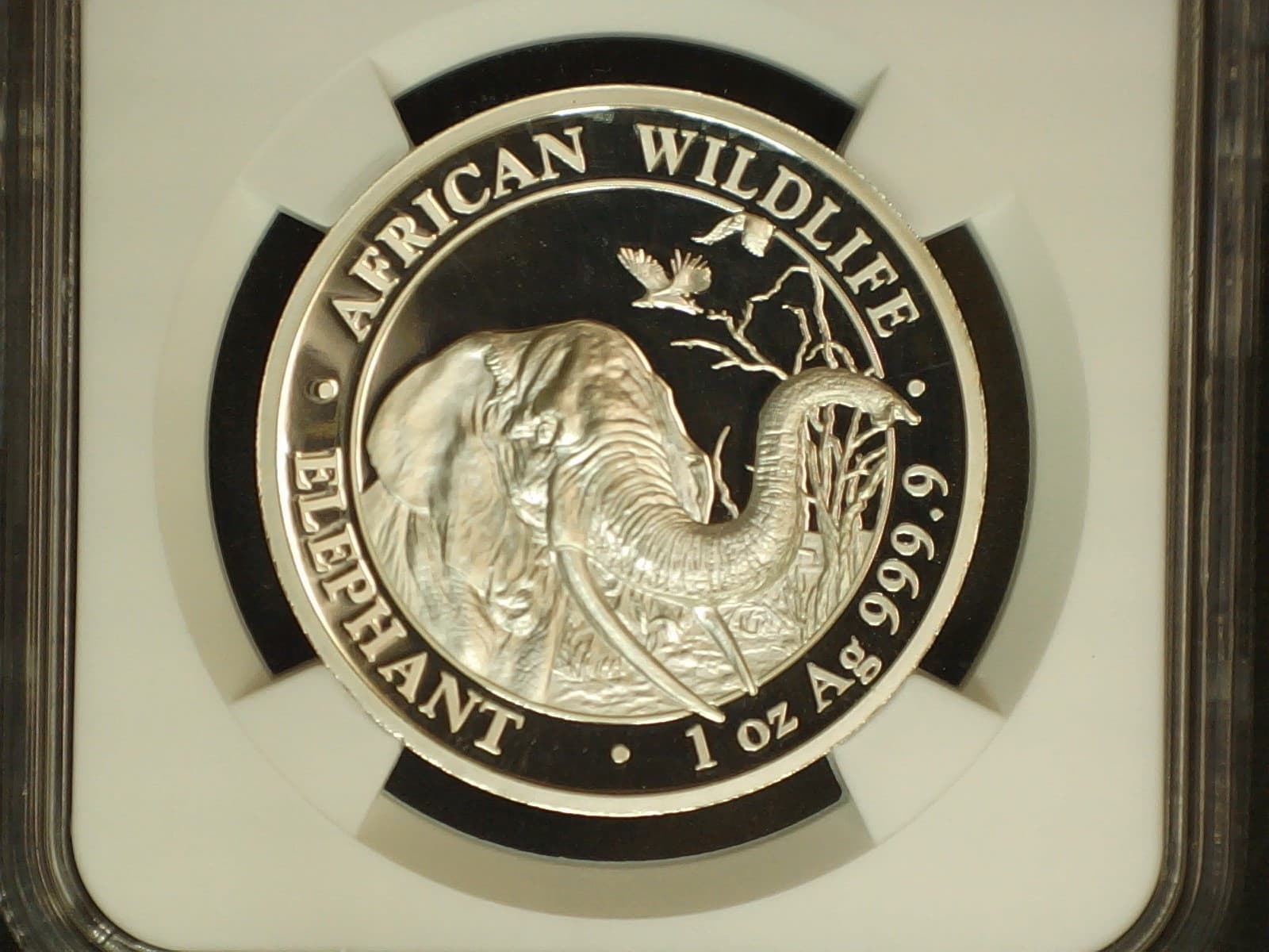 2018 1 Oz Silver Somalia Elephant,High Relief Proof,Early Releases NGC PF 70 5