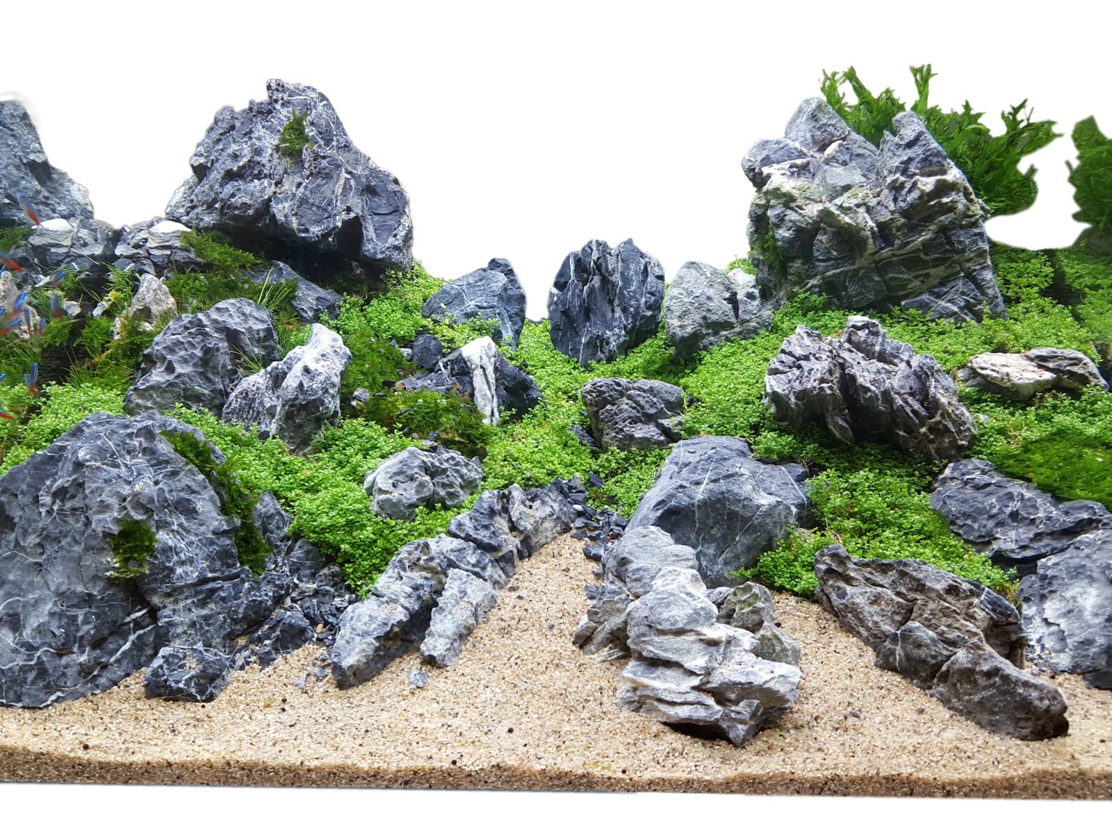 25 Lbs Aquascaping Seiryu Stone aquarium tropical fish plant shrimp $2.50/Lb