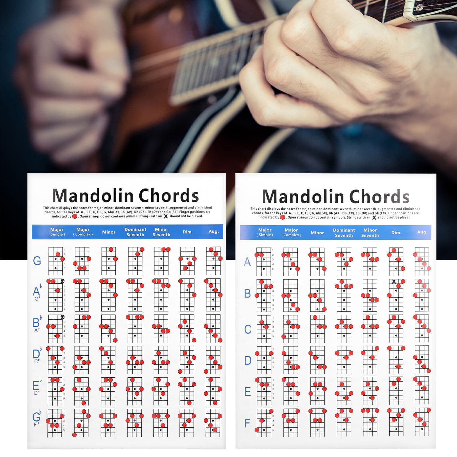 Practical Mandolin Chord Chart Fretboard Notes Coated Paper for Beginners Adult 6