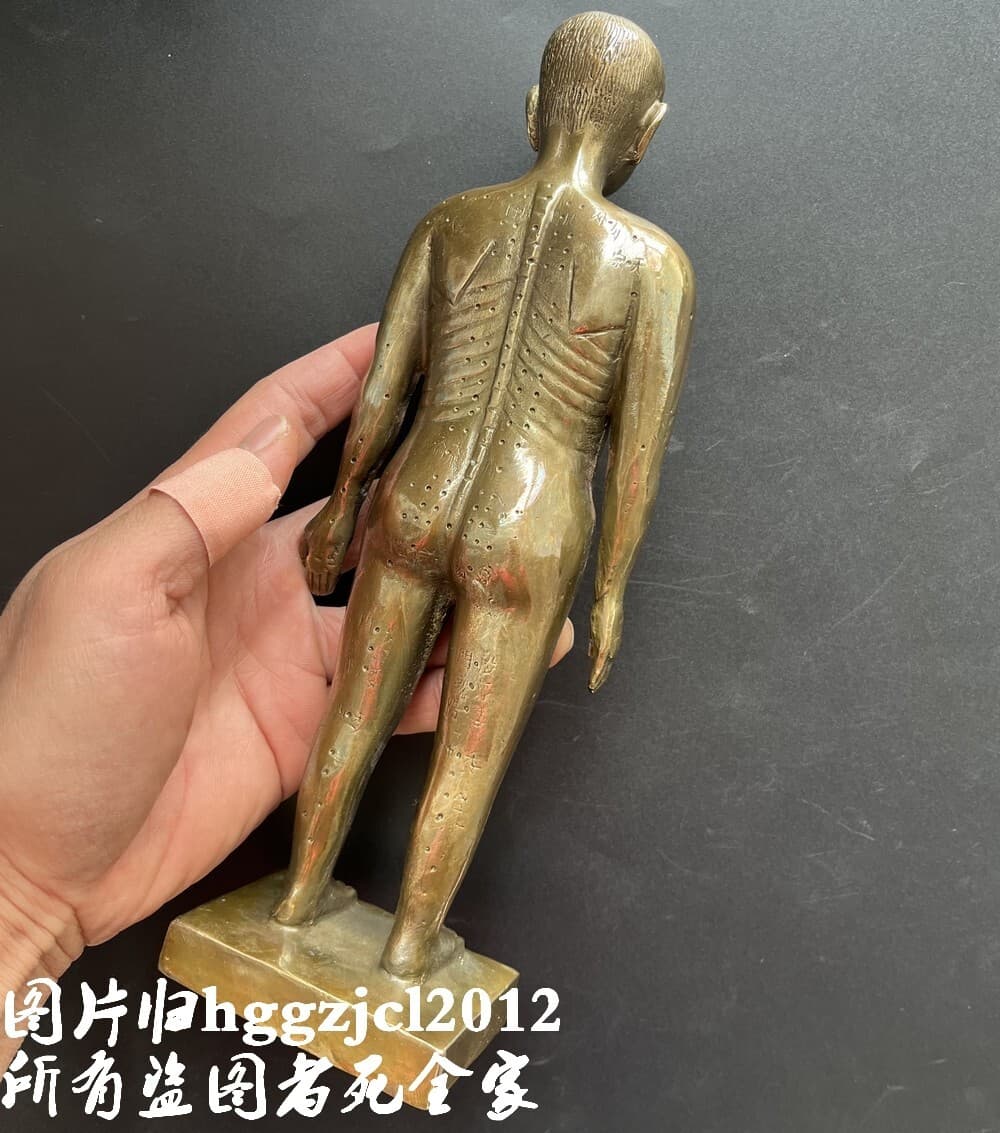6" Tall Brass Human Body Model Acupuncture Massage Point Medicine Props Teaching 5