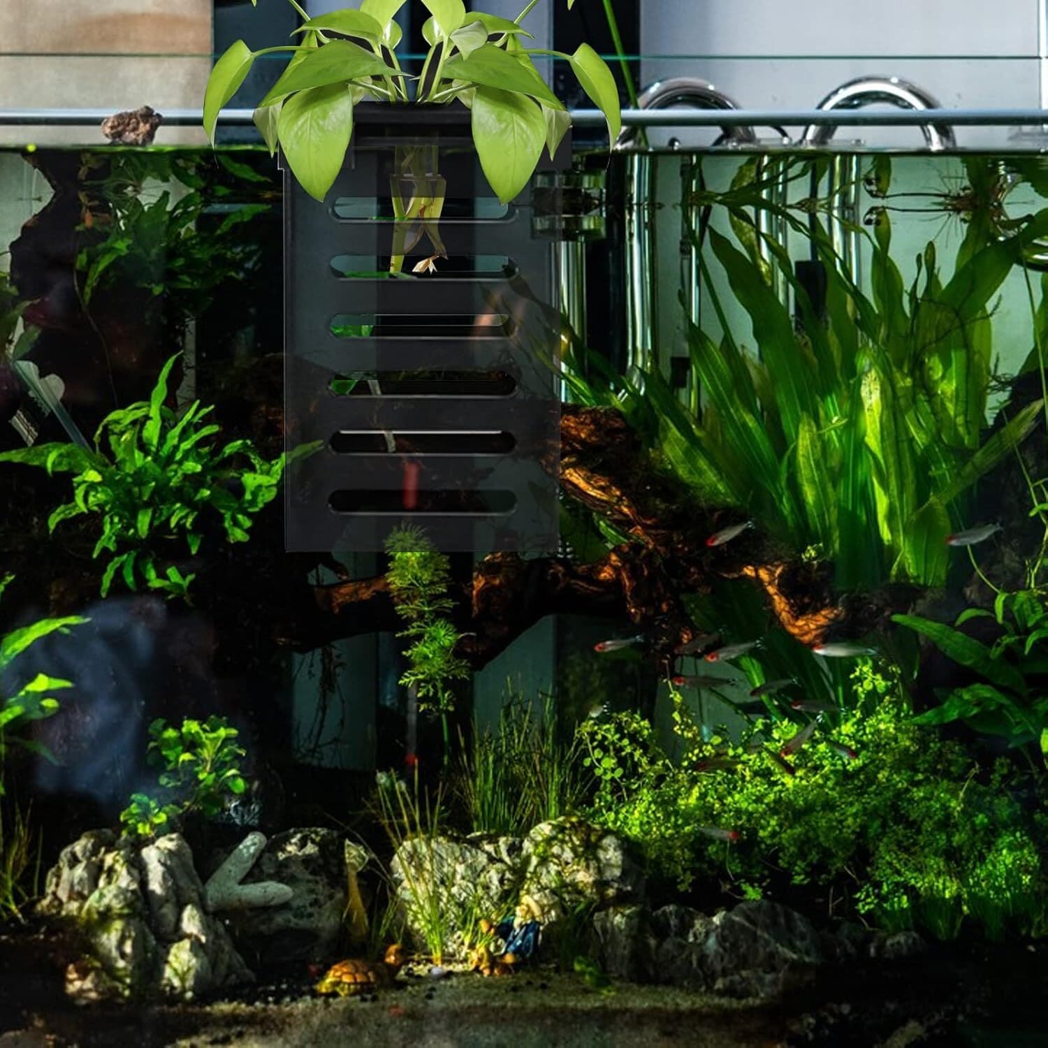 4 Pack Aquarium Plant Holder-Hanging Aquarium Planter Holder, Aquatic Plant Cup, 5