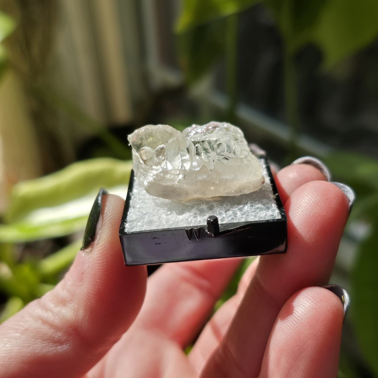 Fluorescent Hyalite Opal Specimen UV Reactive Glass Opal Specimen Perky Box 5