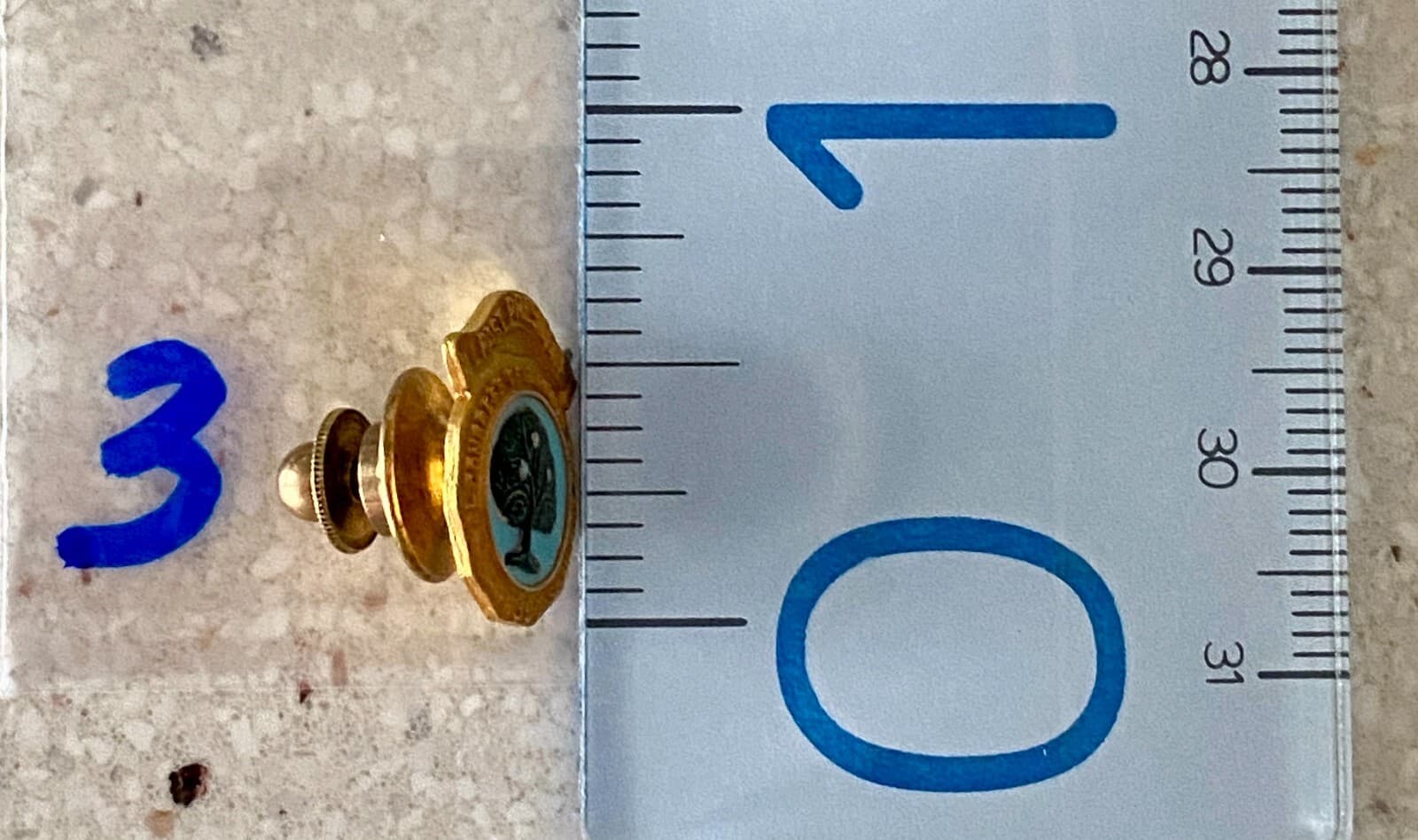 National Congress of Parents and Teachers 1897 Past President Pin 1/10 10K GF 4