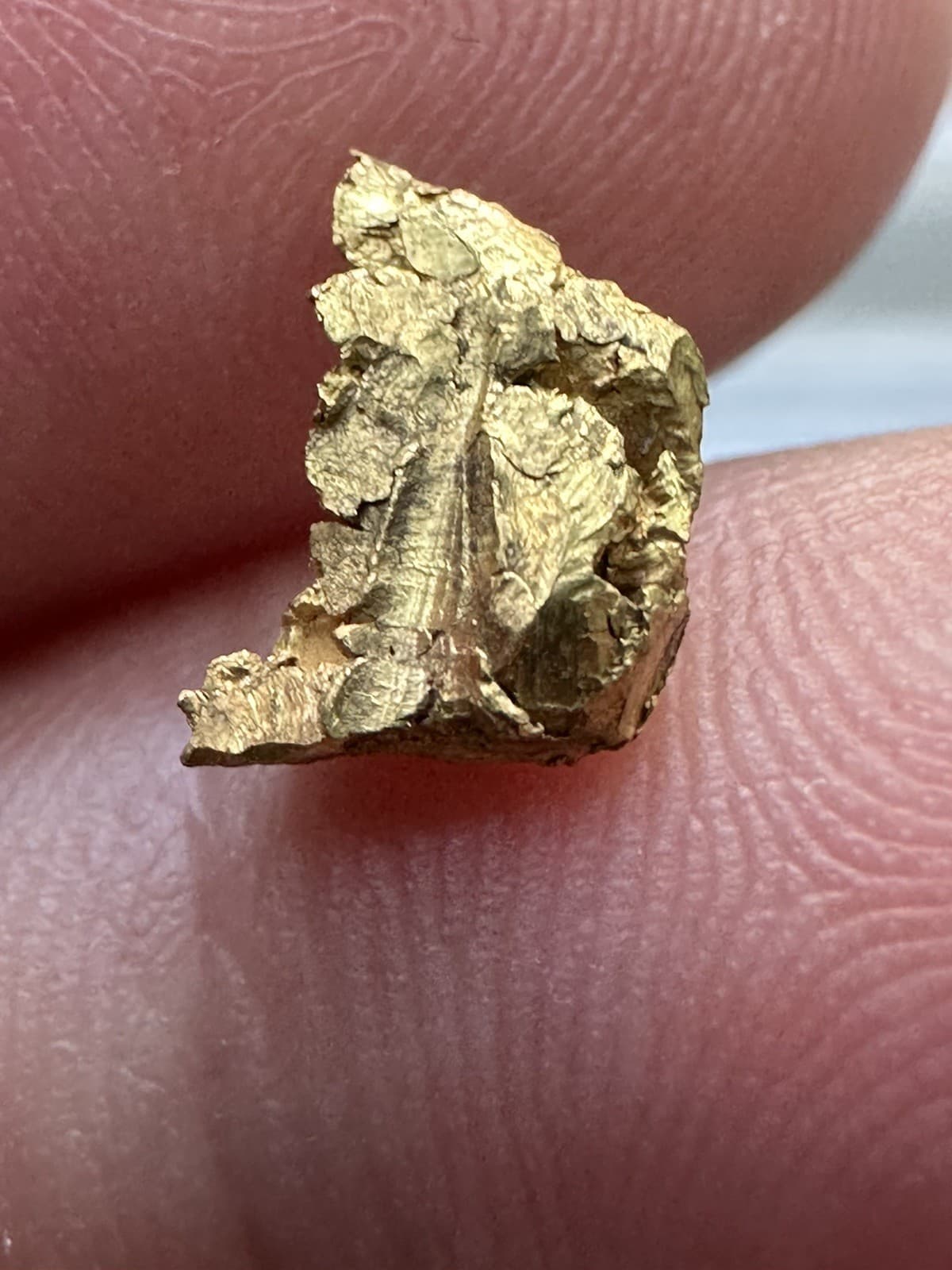 Gold Nugget from Potosi, Bolivia Tupiza Mine, 1.389 grams 6