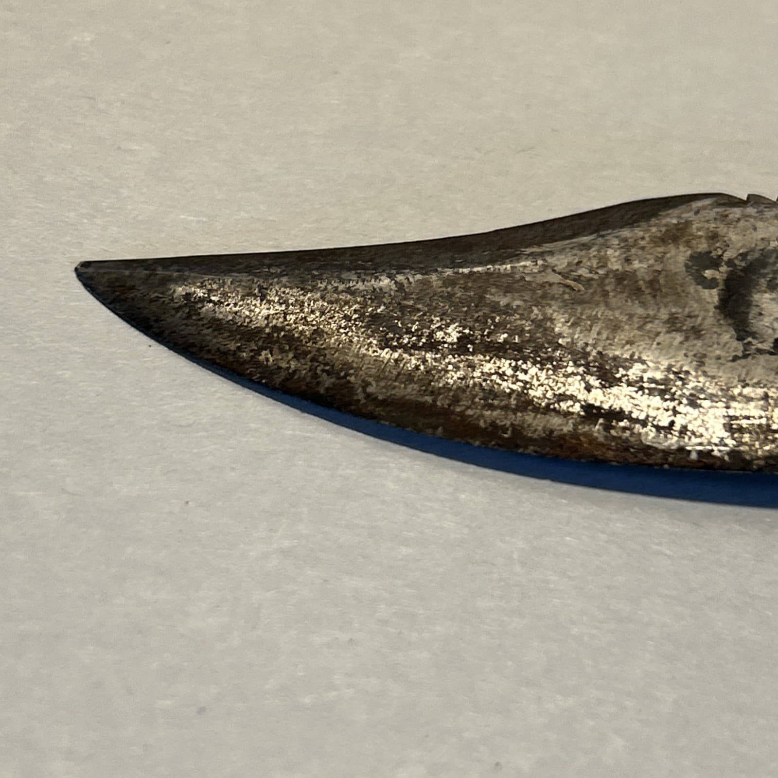 Camillus NY Fixed Blade Knife Fighting Knife Saw Back Survival 2