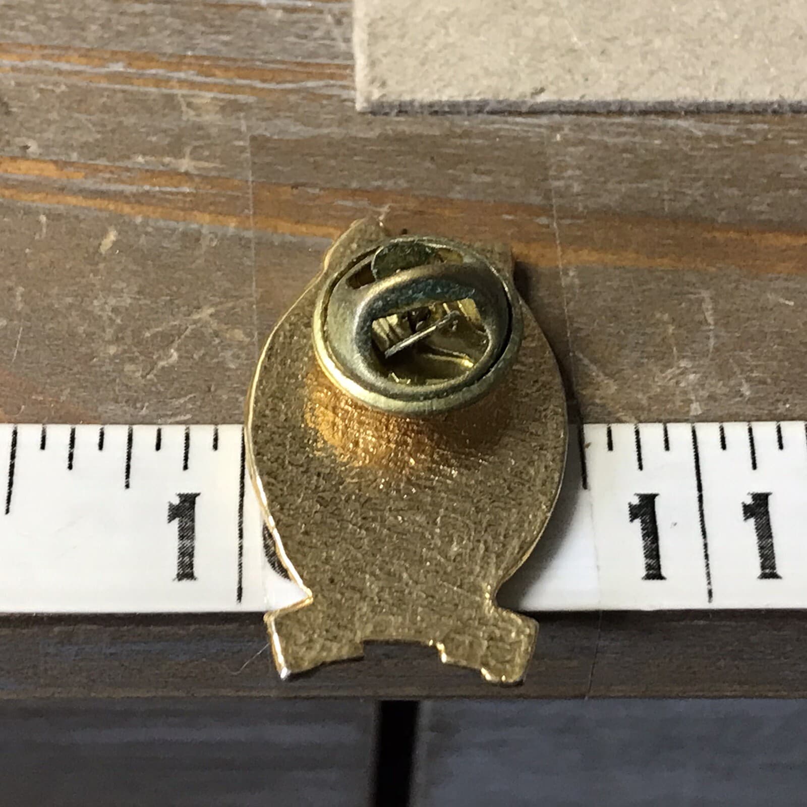 Fraternal order of Eagles Aerie 2690 hope BC 50th lapel pin ~SE1~ 3