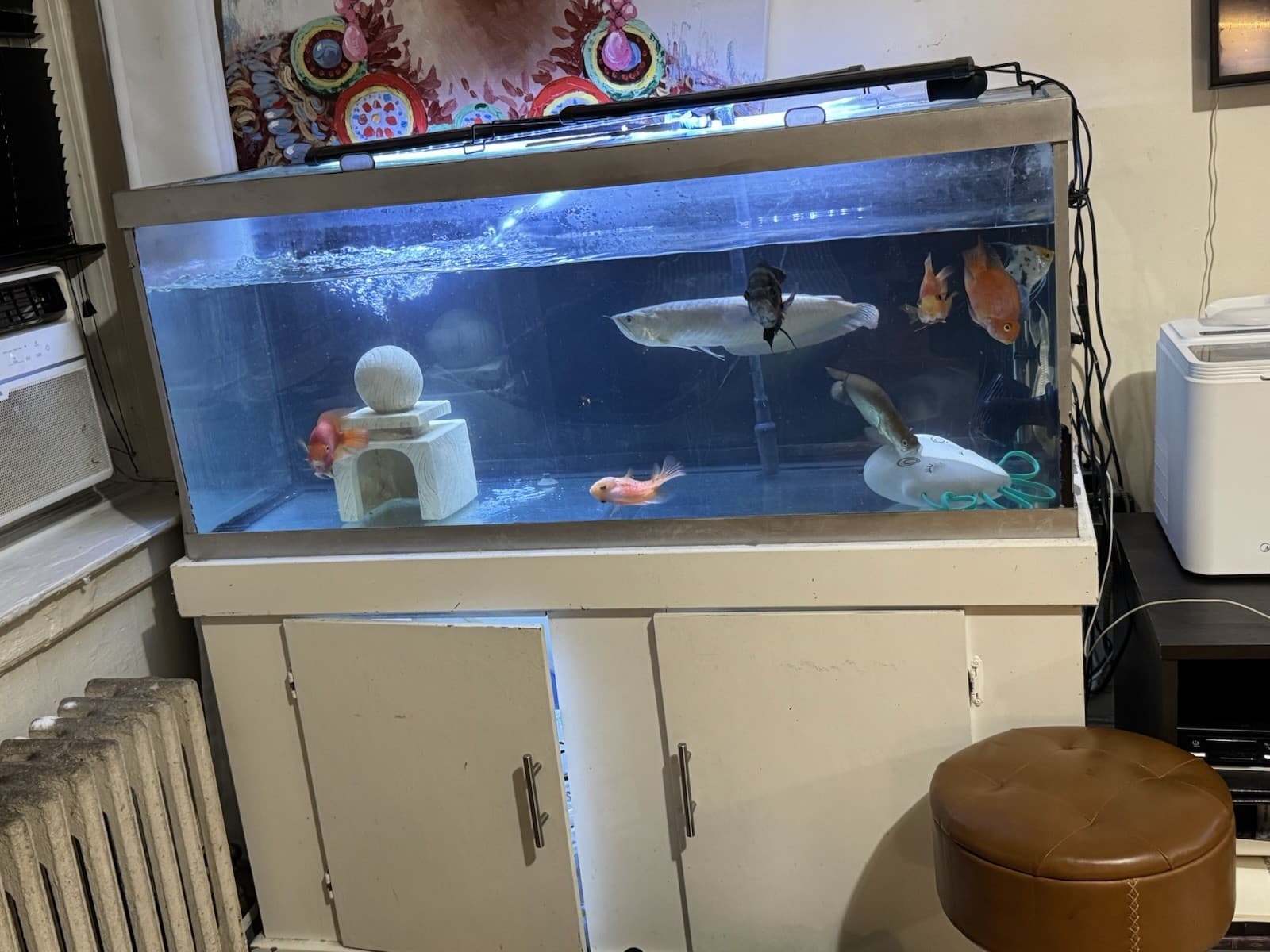 75/55/29/20 Gallon Fish Tanks