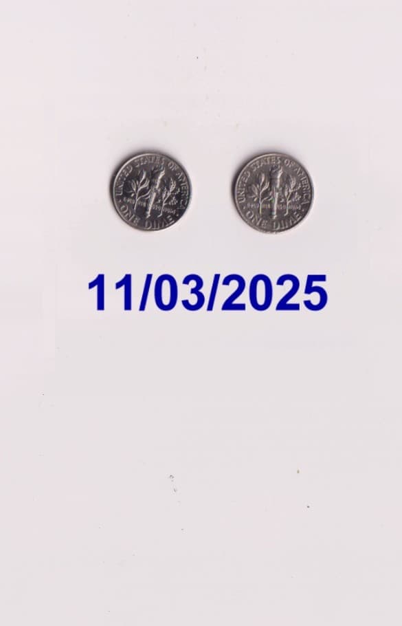 2009P ROOSEVELT DIME SEMI-KEY! Circulated!LOT OF 2! 2