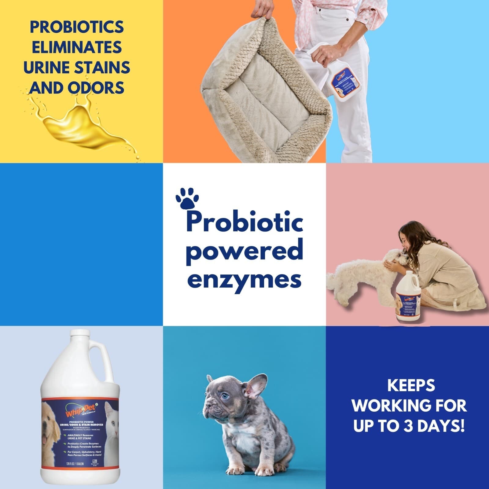 Whip-Pet® Pet Stain & Odor Remover Gallon Size NEW IMPROVED FORMULA 5