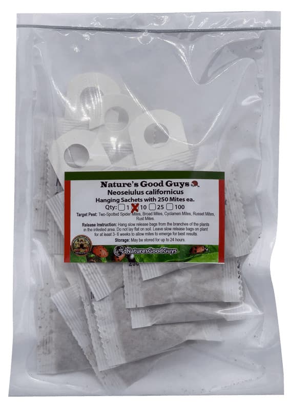 NaturesGoodGuys - Slow Release Hanging Sachets - Neoseiulus californicus 4